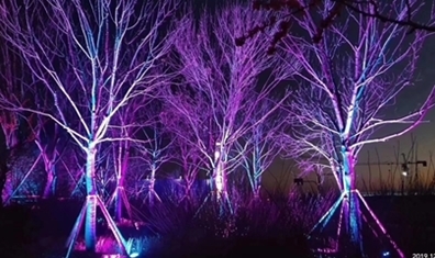 亮化工程在发展上有哪些要求